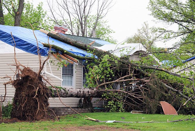 Emergency Roof Repair & Tarping