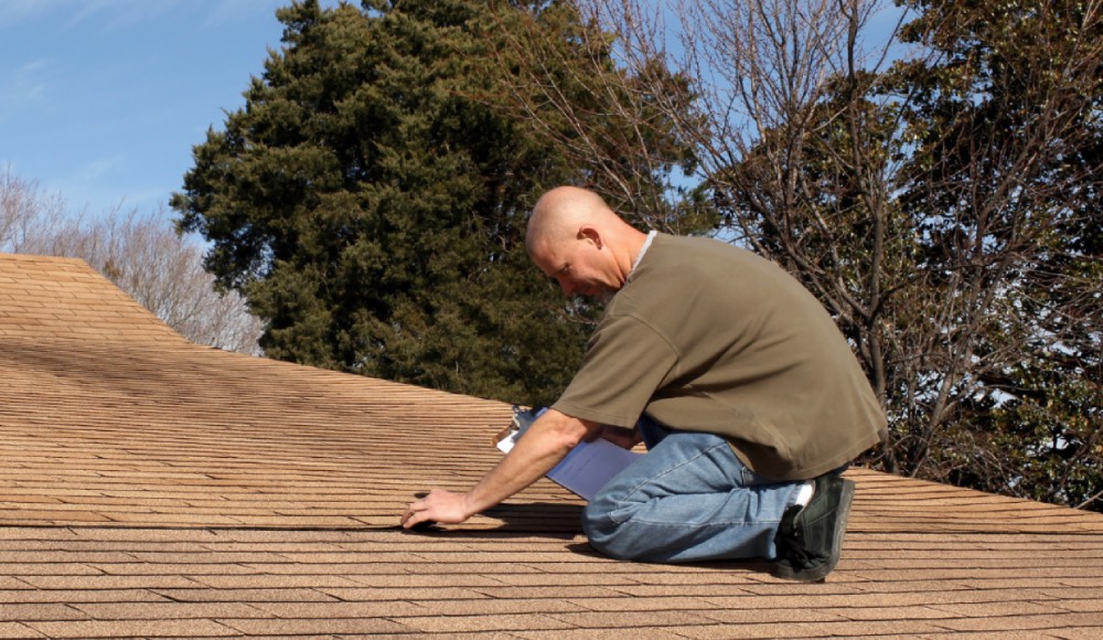 Signs of Roof Damage to Look For