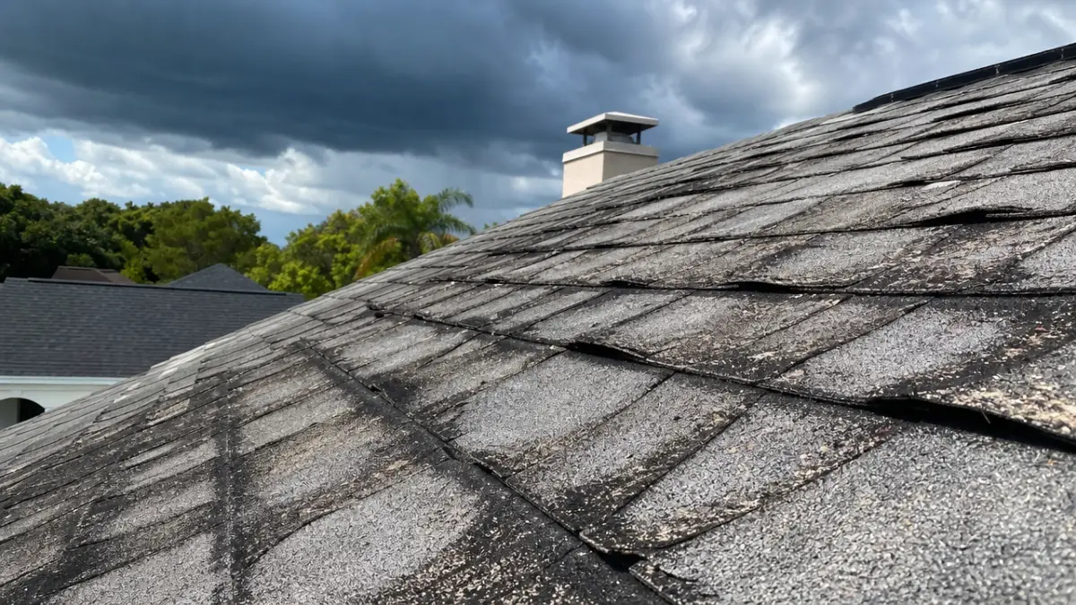 Shingle roof with black algae streaks and heat-curled shingles under strong sun
